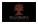 Ygdrasil Gaming