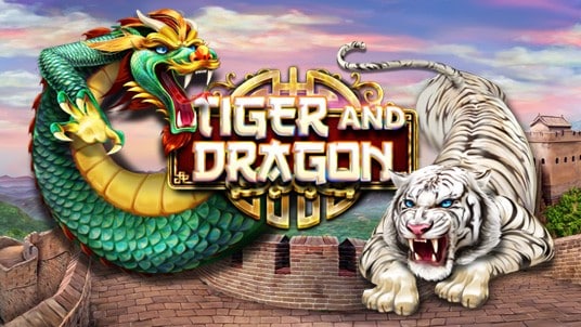 Rồng hổ 3