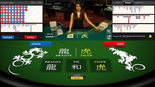 Rồng hổ 4