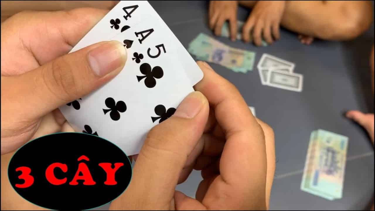 bài 12