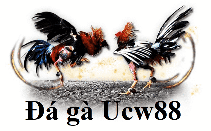 Ucw88
