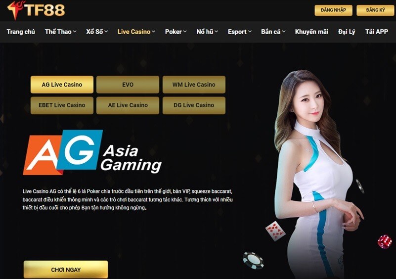 Mẹo chơi trò chơi casino trực tuyến tại TF88