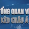 KÈO CHÂU Á S666 CHO NGƯỜI MỚI, ĐỌC HANDICAP THEO VÍ DỤ ĐỂ TRÁNH ĐẶT NHẦM