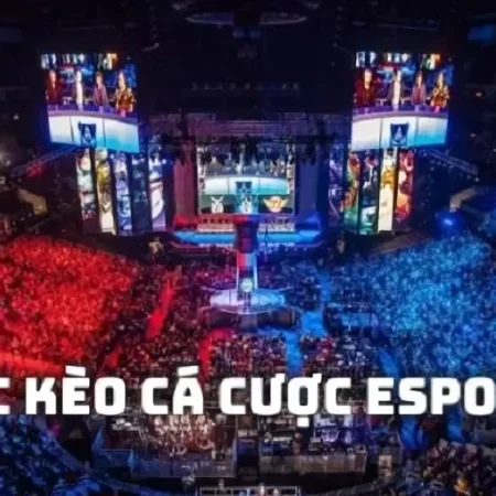KÈO ESPORTS 123B DÀNH CHO NGƯỜI KHÔNG THEO META, 5 RULE ĐỂ TRÁNH CƯỢC MÙ