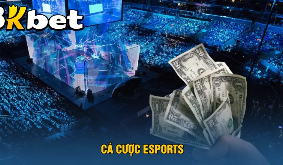 keo esports 8KBET