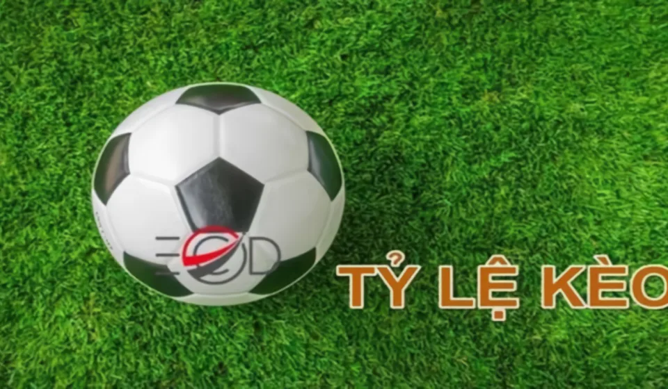 ty le keo bong da SIN88