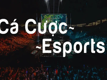 KÈO ESPORTS 888B DÀNH CHO NGƯỜI KHÔNG THEO META – 5 RULE ĐỂ TRÁNH CƯỢC MÙ