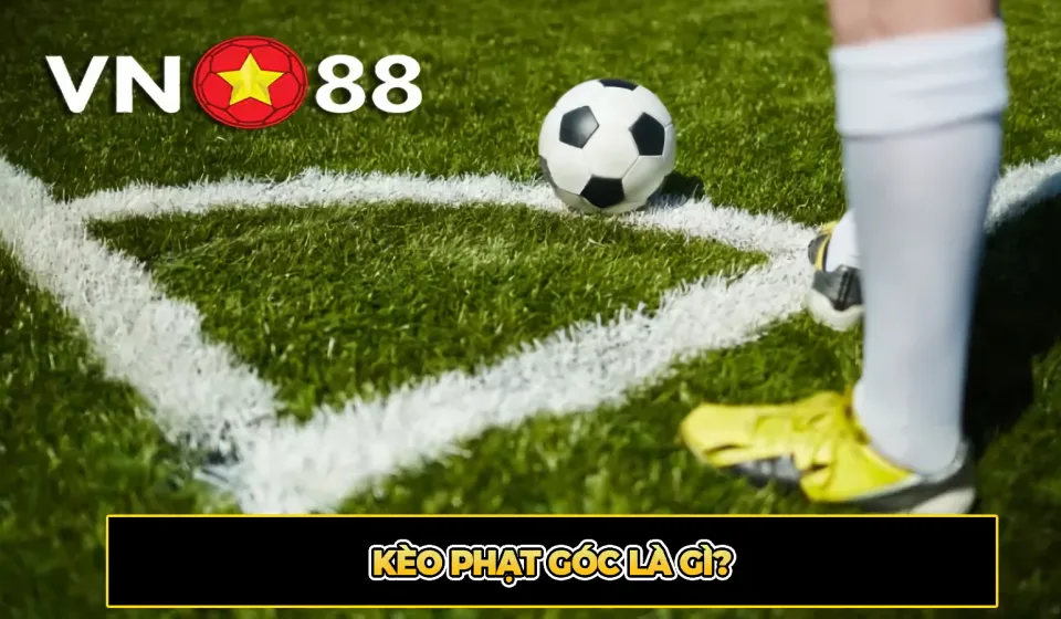 keo phat goc VN88