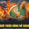 Rồng Hổ S666 hợp người mới không, chọn cửa dựa trên nhịp bàn thay vì đoán