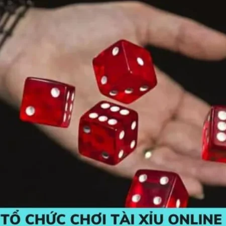 Phân tích thị trường tài xỉu 2026: Xu hướng, cơ hội và thách thức