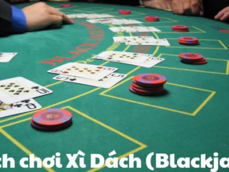 Insurance Trong Xì Dách: Có Nên Mua Không Hay Chỉ Là Bẫy Cảm Xúc?