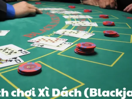 Basic Strategy Xì Dách: Bảng Hit/Stand/Double/Split Cho Người Mới