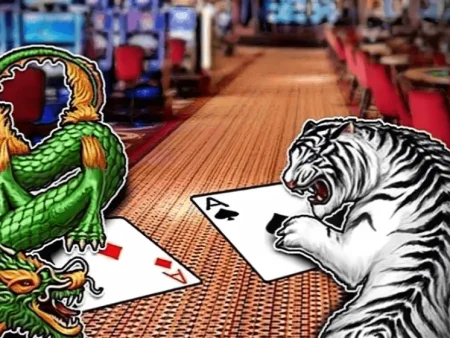 Có Nên Cược Hòa Trong Rồng Hổ? Khi Nào Là Bẫy Payout Cao